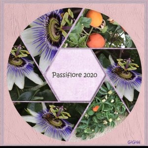 2020-passiflore