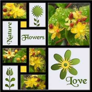 11-REALISATION - LOVE NATURE FLOWERS