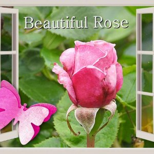 2-REALISATION - BEAUTIFUL ROSE