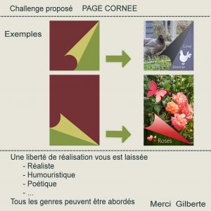 1-CHALLENGE - PAGE CORNEE
