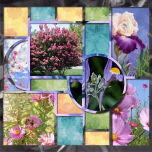cadre azza fleuri.jpg