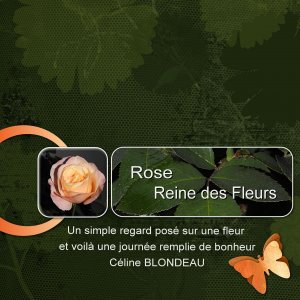 ROSE REINE DES FLEURS