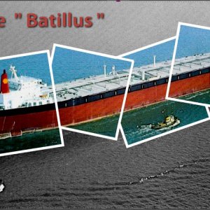 Batillus.JPG