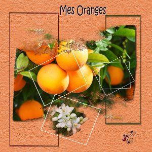 mes oranges essai cadre (page 2).jpg