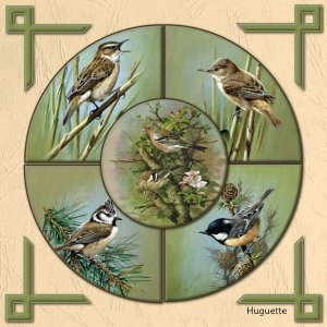 Cercles avec des oiseaux par Huguette .jpg