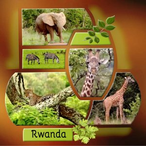 RWANDA 1.jpg