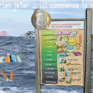mlm Ici Commence La Mer