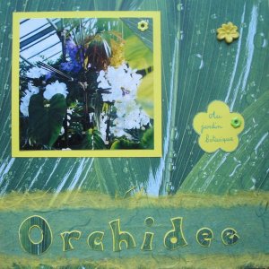Orchidées (page gauche)