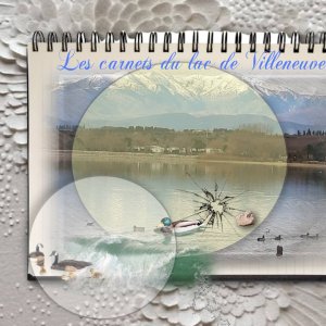 le lac de Villeneuve..jpg