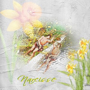 Narcisse.jpg