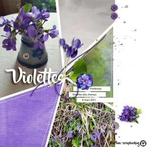 Violette .jpg