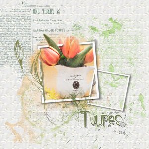 2021-06-08-Tulipesj.jpg