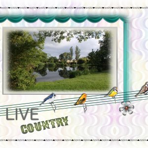 musique-live country-3juillet.jpg