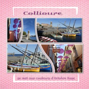 Collioure-Rose.jpg
