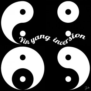 12 octobre noir et blanc yin yang inversion.jpg