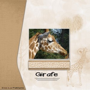 girafe.jpg