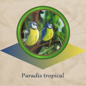 I - PARADIS TROPICAL.jpg