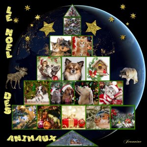 Le Noel des animaux-  Jeannine