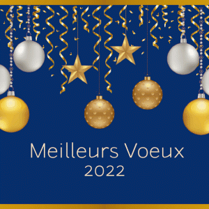 J-e17 - MEILLEURS VOEUX 2022.gif