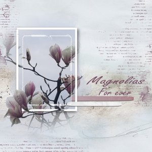 magnolias.jpg scraplift de Marie Rose