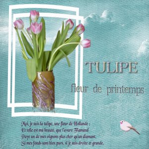 tulipe-fleurs de printemps.jpg