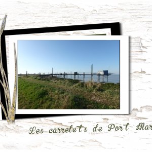 Port Maran-entre Meschers à Talmont- 24mars.jpg