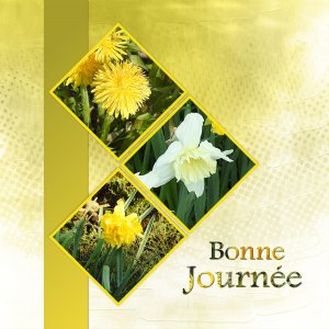 J - BONNE JOURNEE.jpg