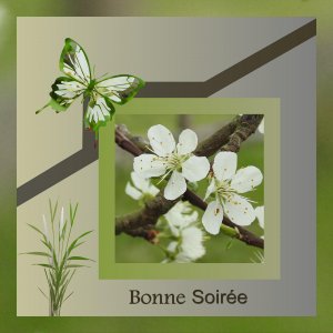 J - BONNE SOIREE.jpg