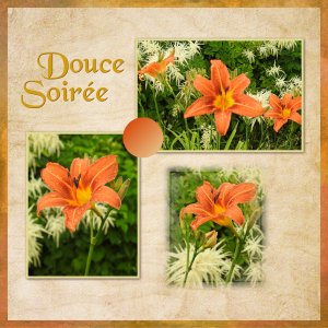 J - DOUCE SOIREE.jpg