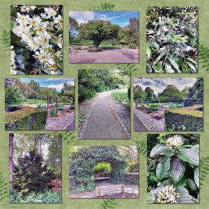 Album Le Jardin des Plantes (page 2)