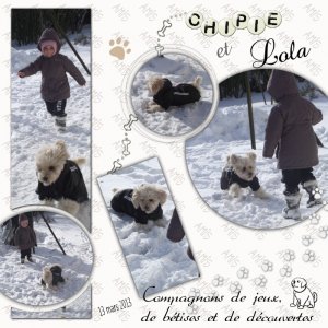 2013 Chipie Lola neige.jpg