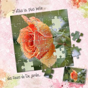 2022 Rose en puzzle.jpg