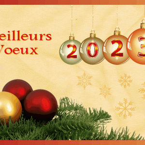 J - MEILLEURS VOEUX 2023.gif
