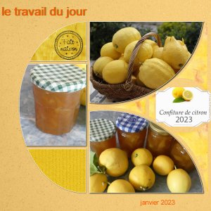 citron confiture  (page 1).jpg