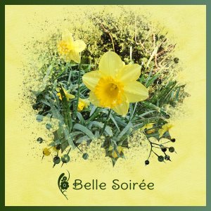 J - BELLE SOIREE .jpg