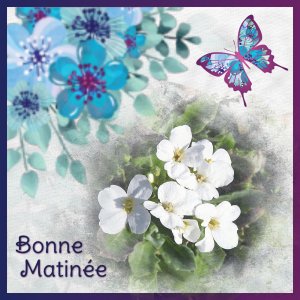 J - BONNE MATINEE.jpg