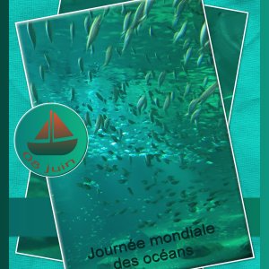 J - JOURNEE MONDIALE DES OCEANS.jpg