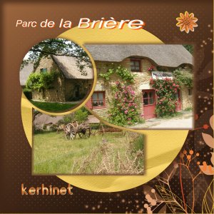 Le parc de Brière, Kerhinet, un joli village aux toits de chaume.jpg