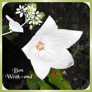J - BON WEEK-END.jpg