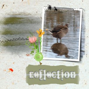 reflection.jpg