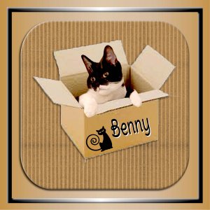 Carton avec Benny