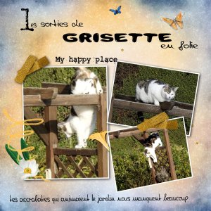 19-Chat-Grisette.jpg