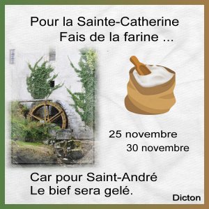 J - POUR LA SAINTE-CATHERINE.jpg