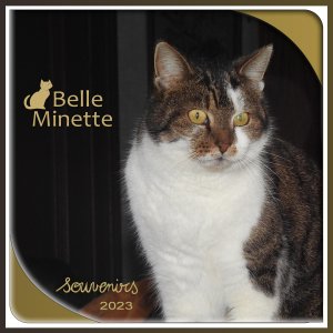 J-A259 - BELLE MINETTE.jpg