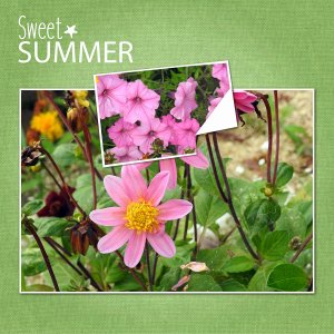 J-n48 - SWEET SUMMER.jpg