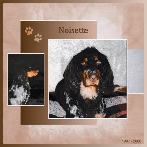 J-A265 - NOISETTE.jpg