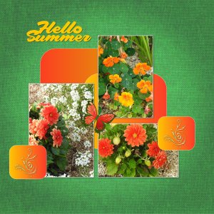 J-c161 - HELLO SUMMER.jpg