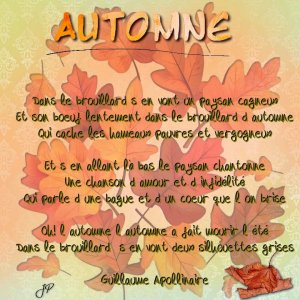 l'automne a fait mourir l'été.jpg