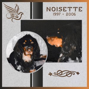 J-A271 - NOISETTE.jpg