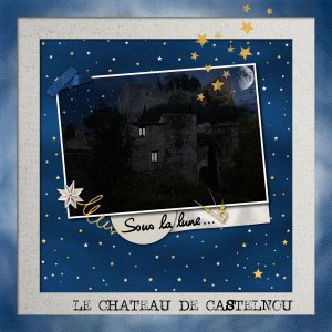 14-Celeste   éclat nocturne .jpg